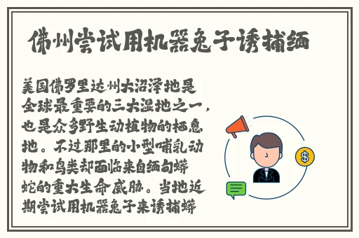 野花社区在线观看高清3